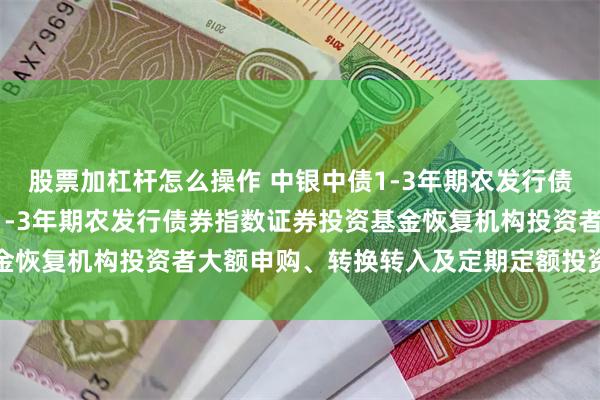 股票加杠杆怎么操作 中银中债1-3年期农发行债券指数: 关于中银中债1-3年期农发行债券指数证券投资基金恢复机构投资者大额申购、转换转入及定期定额投资业务的公告