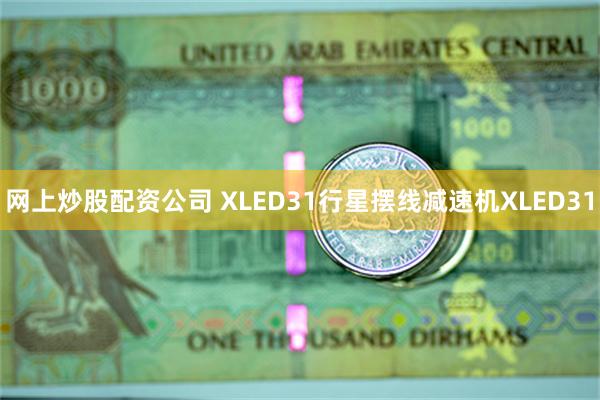 网上炒股配资公司 XLED31行星摆线减速机XLED31