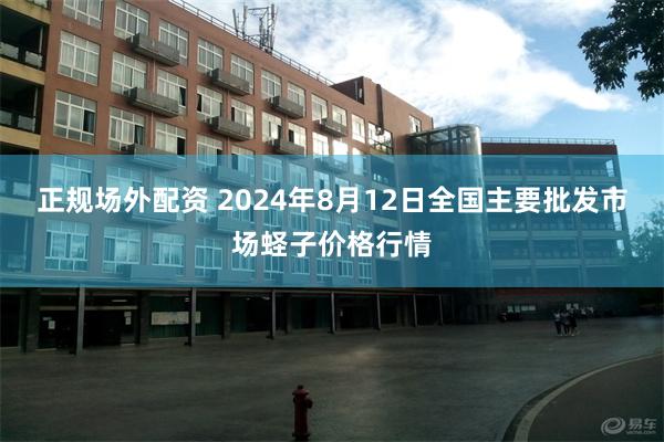 正规场外配资 2024年8月12日全国主要批发市场蛏子价格行情