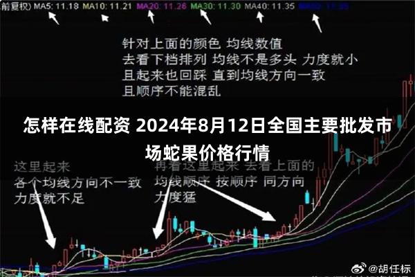 怎样在线配资 2024年8月12日全国主要批发市场蛇果价格行情