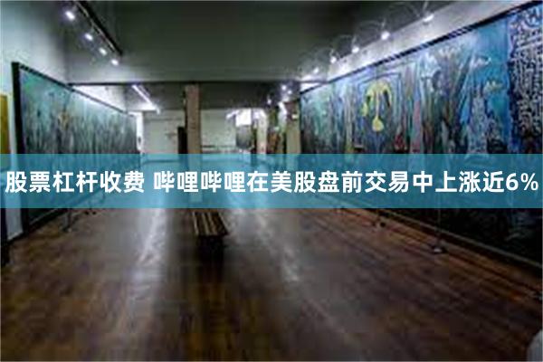 股票杠杆收费 哔哩哔哩在美股盘前交易中上涨近6%