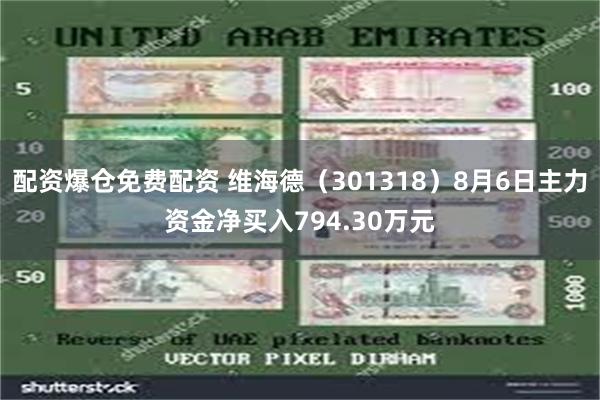 配资爆仓免费配资 维海德（301318）8月6日主力资金净买入794.30万元