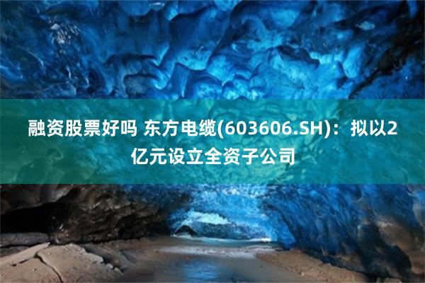 融资股票好吗 东方电缆(603606.SH)：拟以2亿元设立全资子公司