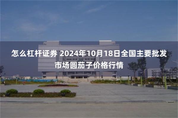 怎么杠杆证券 2024年10月18日全国主要批发市场圆茄子价格行情