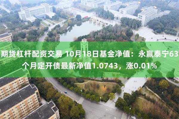 期货杠杆配资交易 10月18日基金净值：永赢泰宁63个月定开债最新净值1.0743，涨0.01%