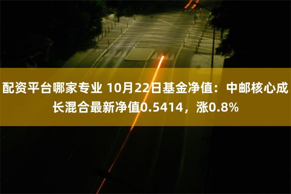 配资平台哪家专业 10月22日基金净值：中邮核心成长混合最新净值0.5414，涨0.8%