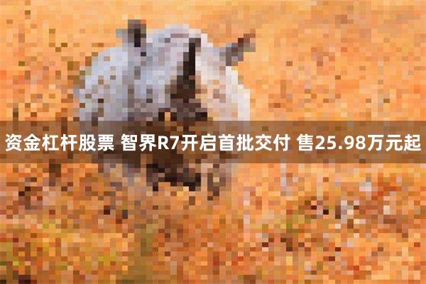 资金杠杆股票 智界R7开启首批交付 售25.98万元起