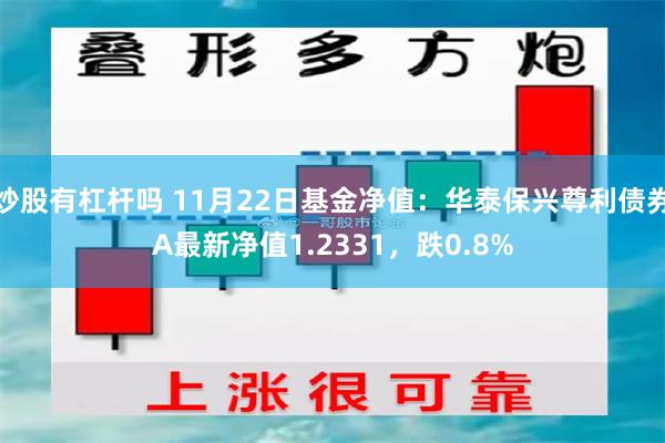 炒股有杠杆吗 11月22日基金净值：华泰保兴尊利债券A最新净值1.2331，跌0.8%