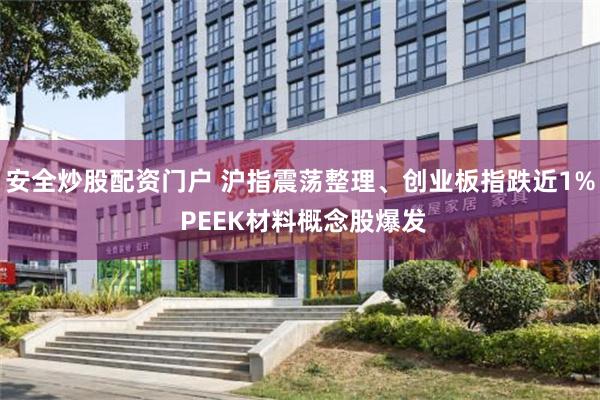 安全炒股配资门户 沪指震荡整理、创业板指跌近1% PEEK材料概念股爆发